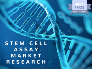 Stem Cell Assay, Stem Cell Assay market, Stem Cell Assay market research, Stem Cell Assay market report, Stem Cell Assay market analysis, Stem Cell Assay market forecast, Stem Cell Assay market strategy, Stem Cell Assay market growth, Thermo Fisher Scient