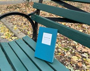 Light blue book sitting on park bench with fall leaves