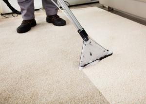 Professional-Carpet-Cleaning-in-Rhode-Island