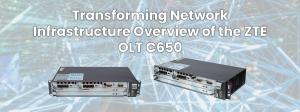 Alt text: ZTE OLT network infrastructure overview.