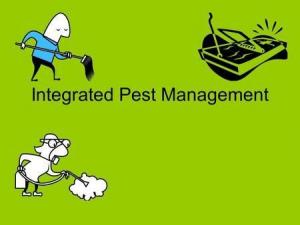 Integrated Pest Management (IPM) market