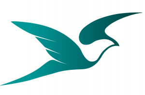 MyAbabeel Web Design Logo