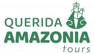 Explore the Amazon Region