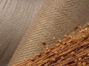 Image of Bcomp natural fibre composite material and flax