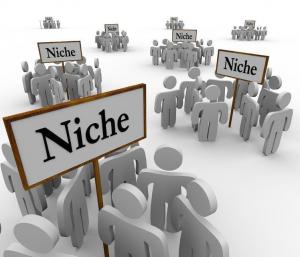 Niche Insurance market