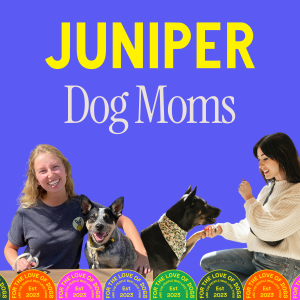 A photo of Haley and Allison with their dogs and the text Juniper Dog Moms