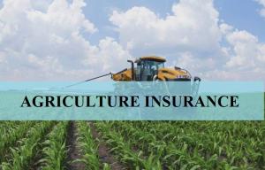  Agricultural Crop Insurance