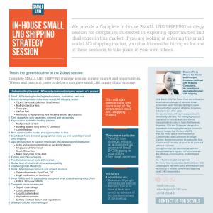Small LNG Shipping Strategy Sessions
