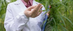Medical scientist observing plants