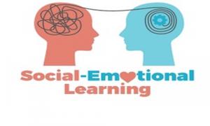 Social and Emotional Learning market