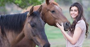 Horses for Mental Health