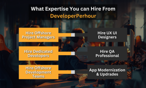 What Expertise  Can be Hired From DeveloperPerhour