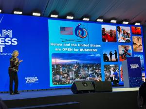 Keynote speech at the AmCham Business Summit: Mrs. Margaret Whitman, US Ambassador to the Republic of Kenya.