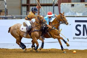 Two polo players ride after ball during play