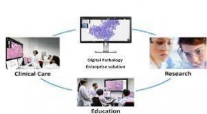 Digital_Pathology_Industry