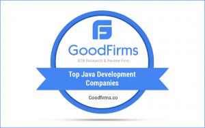 Top Java Development Companies