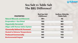 Key differences between mineral enriched Red Sea salt and ordinary table salt