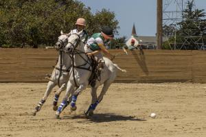 two women polo players on gray horses vie for the ball during an arena polo finals