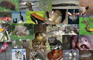Museums have left these modern animals (ducks, penguins, box turtles, boa constrictors, owls, flamingos, opossums) out of their dinosaur displays which gives the false impression that dinosaur life was different