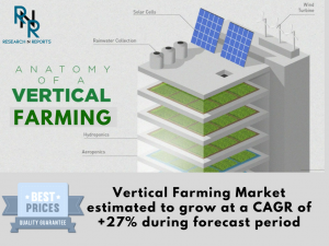 Vertical Farming Market, Vertical Farming, Vertical Farming Market analysis, Vertical Farming Market Research, Vertical Farming Market Strategy, Vertical Farming Market Forecast, Vertical Farming Market growth