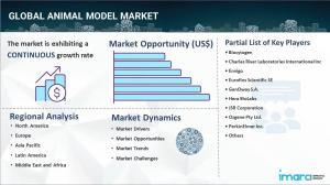 Animal Model Market Report 2024-2032