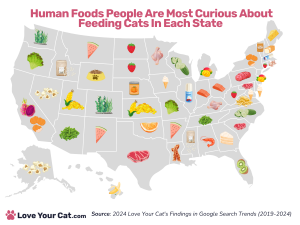 Most Popular Foods for Cats in the US Map