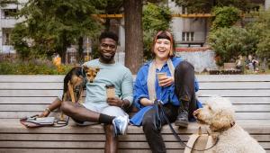 Two people sit on a bench with dogs on leashes sitting near them.