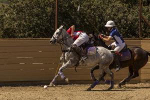 two arena polo players mounted on horses vie for the ball during Intercollegiate national championship finals