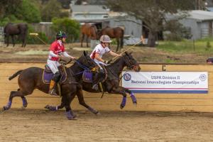 two university arena polo players battle for the ball in national collegiate semi-finals