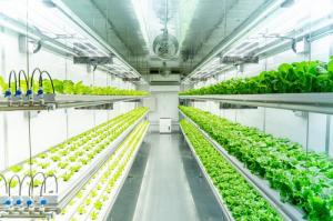 Fully Automated Hydroponic System Market