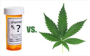 Prescription Medication vs. Medical Marijuana