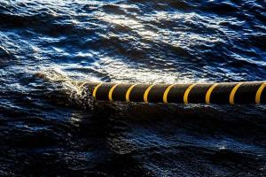 Cette image montre l'aspect d'un câble sous-marin sur la côte.