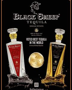 An image featuring the Black Sheep Tequila logo, two bottles of Black Sheep Tequila, and the wording 'Best in World'. Celebrating excellence and distinction in spirits.