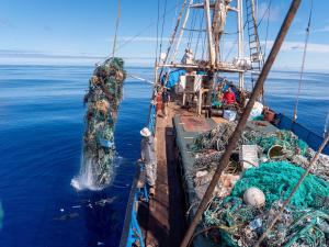 Hauling discarded nets and plastic out of the ocean - credit Ocean Voyages Institute