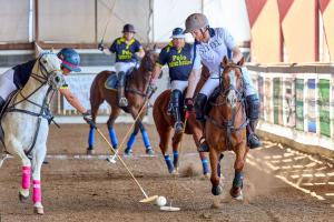 two arena polo players on horses battle for the ball