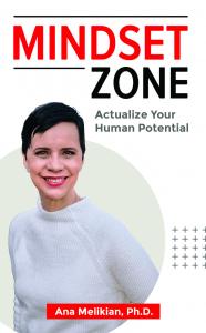 MINDSET ZONE book cover