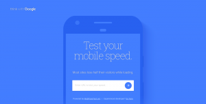 How to speed up your WordPress Website using Google Speed Test