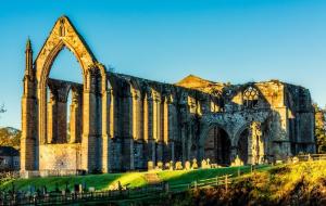 Day Trip to Abbey
