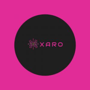 XARO Supports Businesses with Premier VPS Solutions and Servers
