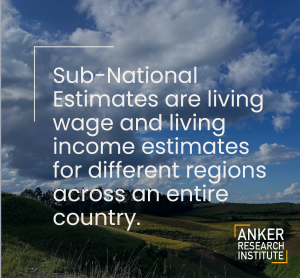 Image is of the Brazil landscape with the text: Sub-National Estimates are living wage and living income estimates for different regions across an entire country.