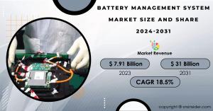 Battery Management System Market Size and Growth Report