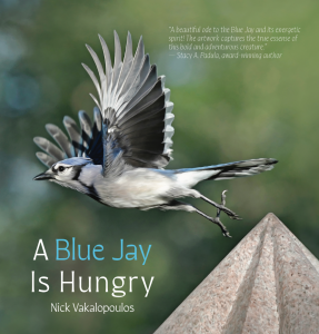 Bluejay on bookcover