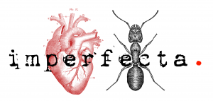 an image depicting a vintage illustration of a 4 legged ant and a heart, with the word "imperfecta" layered on them