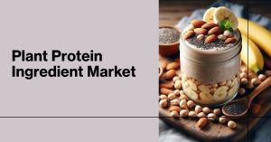 Plant Protein Ingredient Market