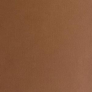 Enhance your projects with the rich texture and versatile 12x12 Mocha Cardstock from Encore Paper.