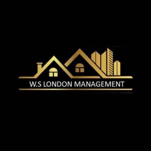 American Investors' Guide to the UK Property Market Amidst the Upcoming General Election: Insights from Walter Soriano London Management