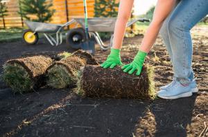 A close-up of an unrecognized woman wearing green latex gloves and faded blue jeans and light blue shoes professionally lays mulch in a garden, highlighting expert mulch installation services for a vibrant and healthy lawn.