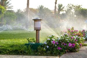 A plastic sprinkler irrigating a vibrant flower bed on a well-maintained grass lawn during a sunny summer day, showcasing efficient water distribution in a professional irrigation setup.