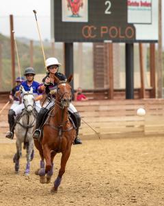 Two polo players ride after airborne ball during play