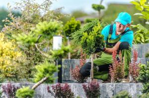  A landscaper wearing a blue and green outfit stakes a plant in a well-maintained garden, showcasing his expertise.